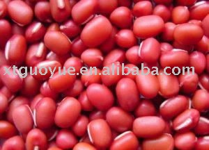 Azuki bean