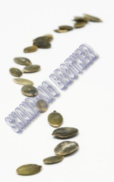 pumpkin seeds without shell