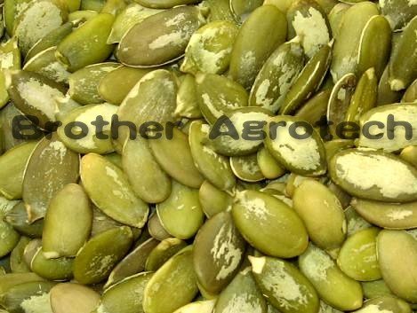 pumpkin kernels GWS new crop 2010