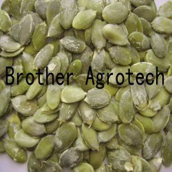 pumpkin seed GWS