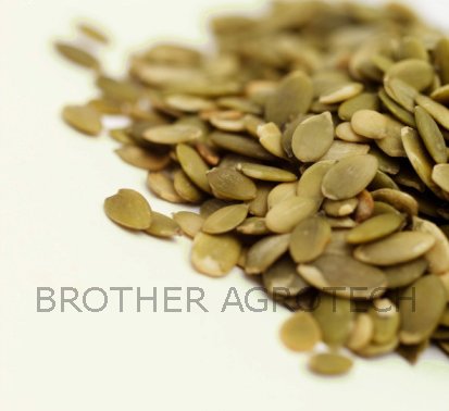 GWS pumpkin seed kernel new crop high quality