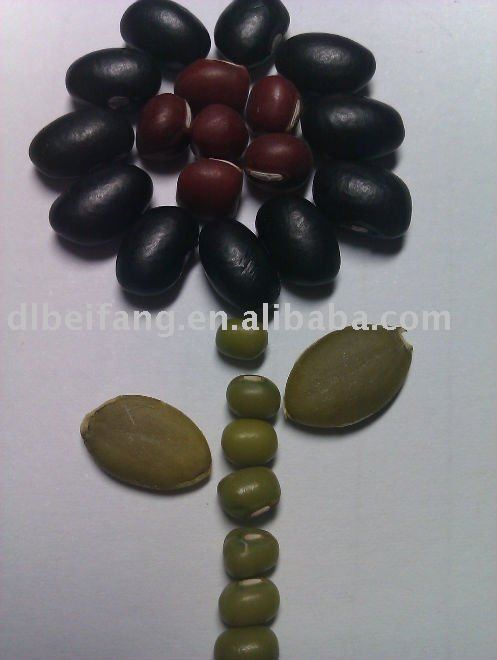 Organic Black Turtle Bean(2010 Crop, supermarket quality. heilongjiang origin)