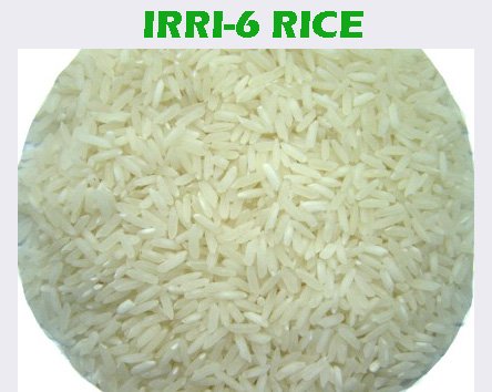 Irri 6