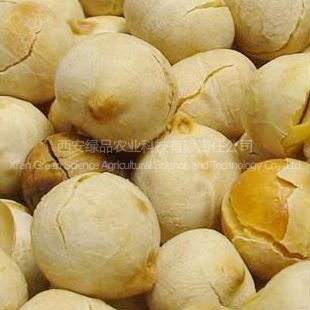 garbanzo
