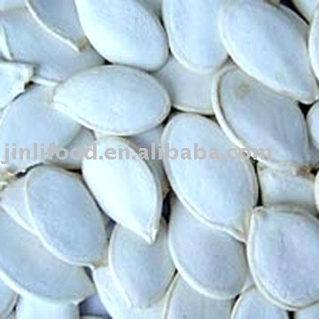 Chinese snow white pumpkin seed