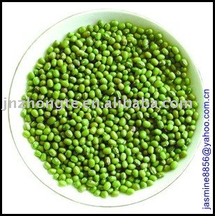 Supply  Chinese green  mung bean