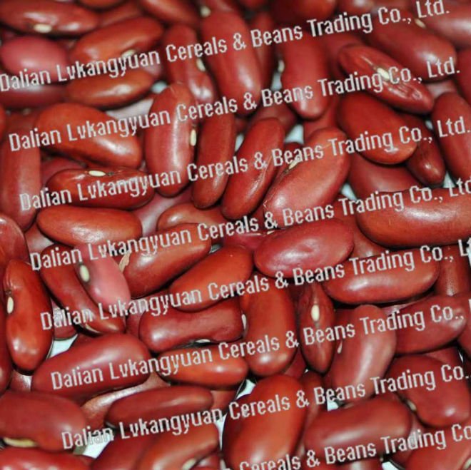 Red kidney beans 2010 crops (pulses)