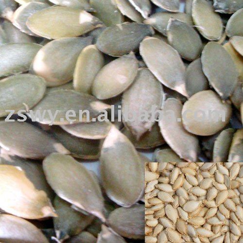 unroasted pumpkin kernels