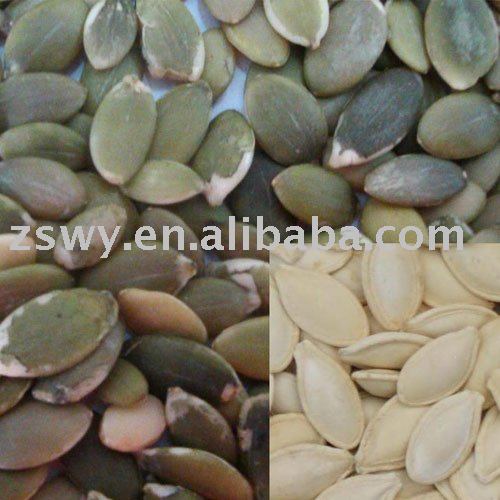unroasted shiny skin pumpkin kernels