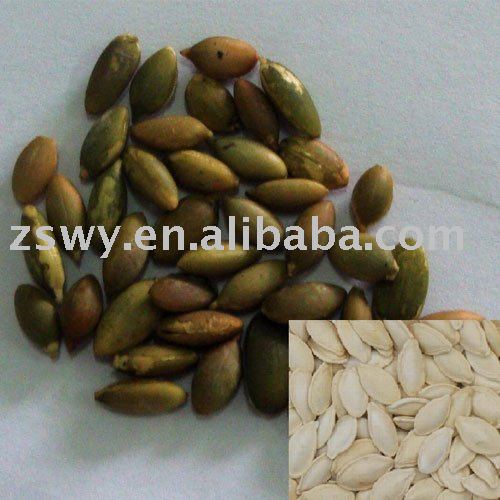 roasted shiny skin pumpkin kernels