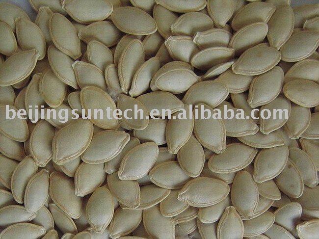 shine skin pumpkin seeds Grade AA
