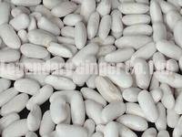Yunnan Large White Kidney Beans