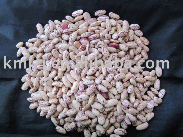 Long Light speckled kidney beans