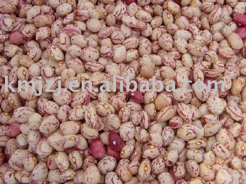 Light speckled kidney beans xinjiang