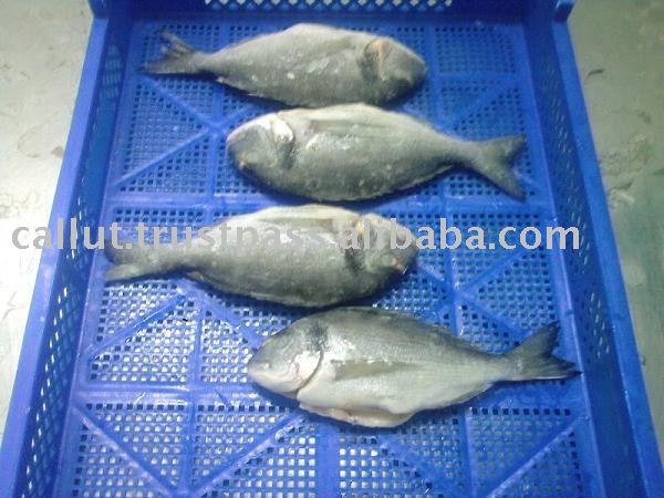 Sea Bream Whole Frozen