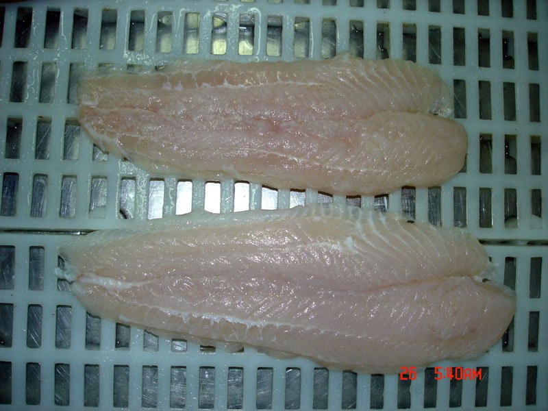 Pangasius Well Trimmed Light Pink Meat