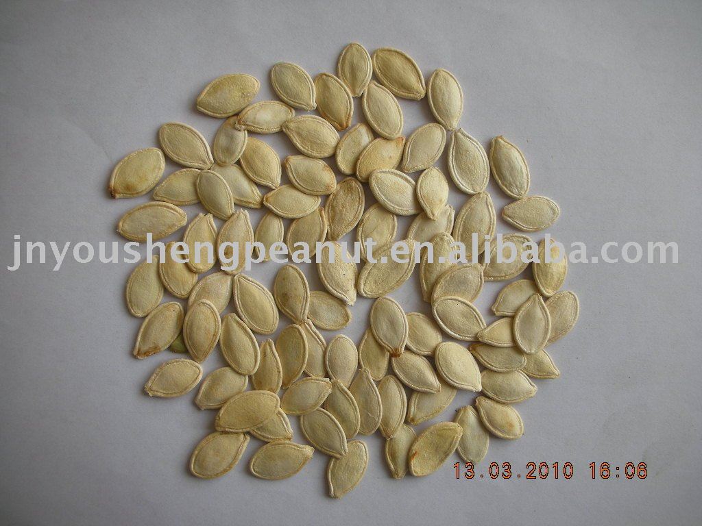 supply pumpkin seed kernels