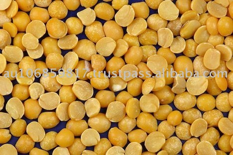 yellow split Pea / yellow split Peas / yellow split Pea / split yellow tuar dal / mutter dal / dried