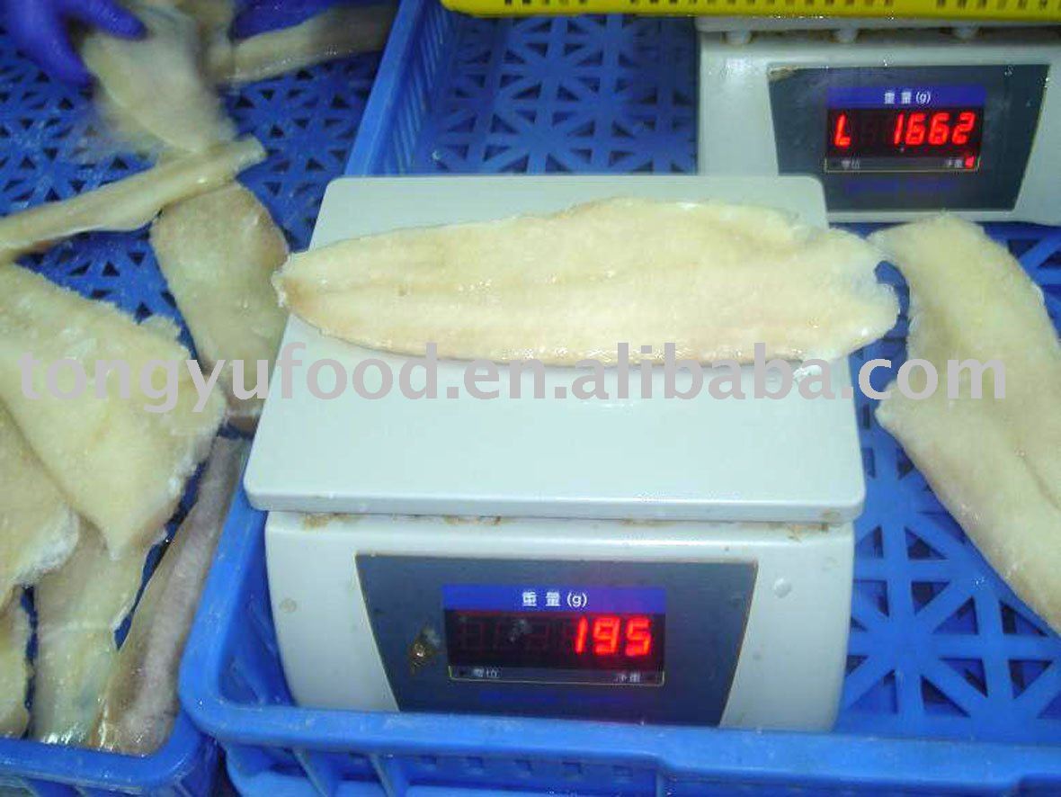 frozen HGT cod fish
