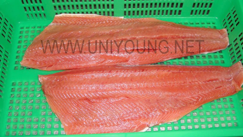 Frozen Salmon  CHUM   Fillet s