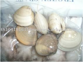Frozen Hard Clam