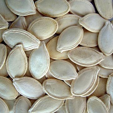 Pumpkin Kernel