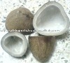 Dry Coconut