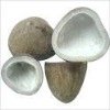  DRIED   COCONUT   COPRA 