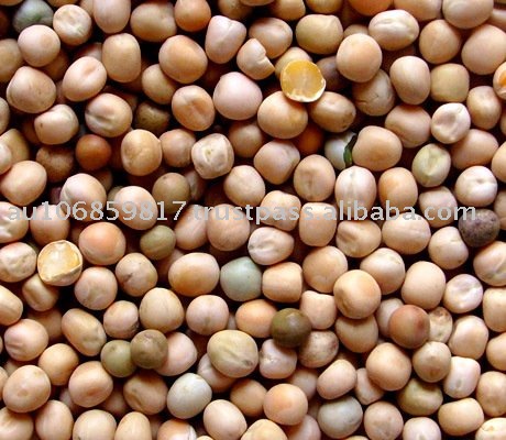  Yellow   peas   whole  /  whole   yellow   peas  /  yellow   whole  hulled  peas  /  whole   yellow   peas  /  yellow   whole 