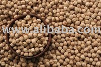 Kabuli ( Spaniola type) Chickpeas