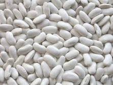 HIGH QUALITY Kidney Beans