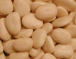 HIGH QUALITY Lima Beans