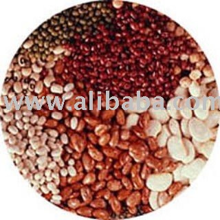  White  Speckle  Kidney   Beans 
