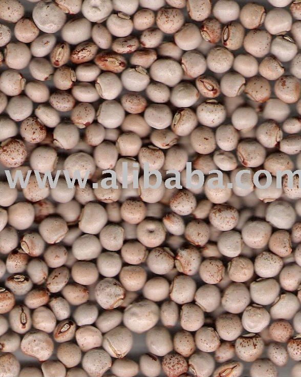 pigeon pea