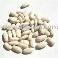 organic beans