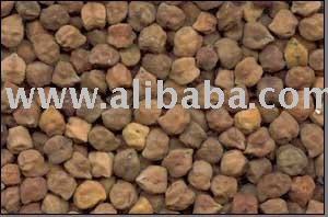 Desi Chickpeas
