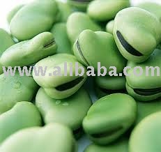 Broad Beans