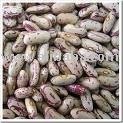 Light Speckled Kidney Beans