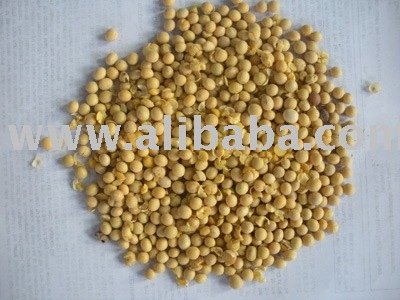 organic soybean for  feed  and  fodder 