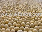 Dried Soybean,red kidney bean