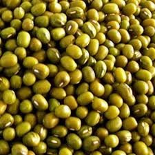 Fresh Green Mung Beans