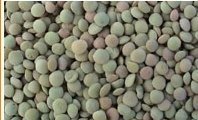 Green whole lentils