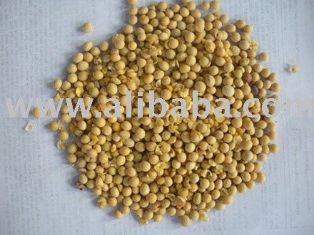 organic soybean for  feed  and  fodder 