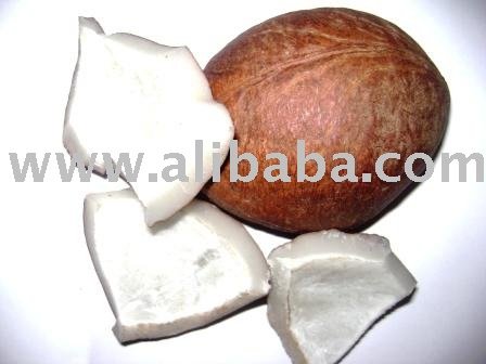 coconut copra