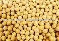  ORGANIC   SOYABEAN 