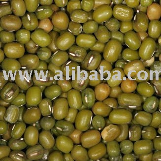 vigna beans