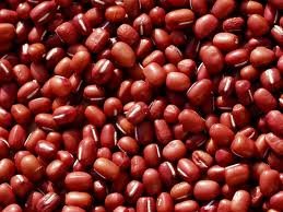 Azuki bean