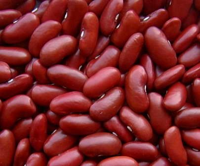Kidney bean