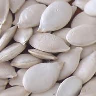 PUMPKIN KERNELS