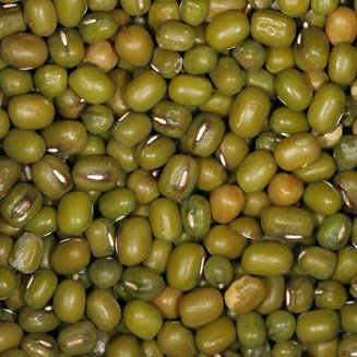 vigna bean